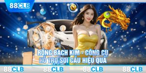 Rồng Bạch Kim - Công Cụ Hỗ Trợ Soi Cầu Hiệu Quả